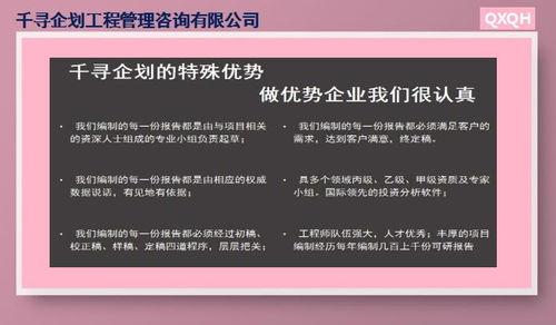 淮南千尋誠信絲苗米產業園項目立項報告 商業策劃創新服務